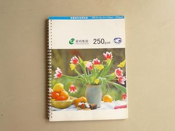 A4 / B5 Full Color Custom Notebook Printing For Spiral Bound Notebook